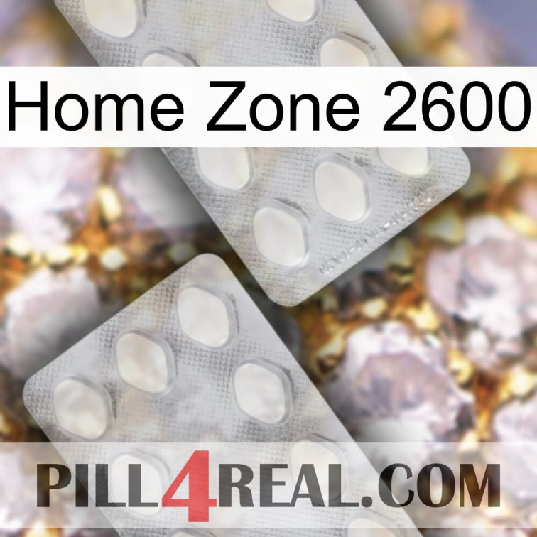 Home Zone 2600 17